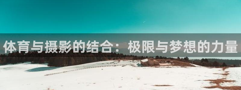 杏宇代理