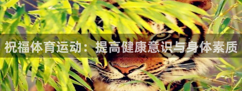 杏宇代理