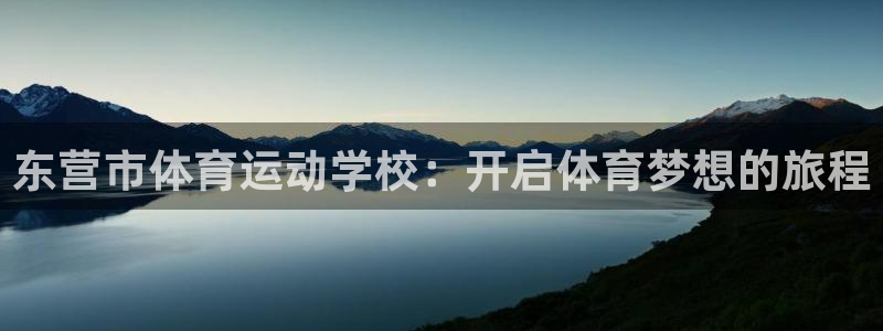 东莞市杏宇电子科技有限公司