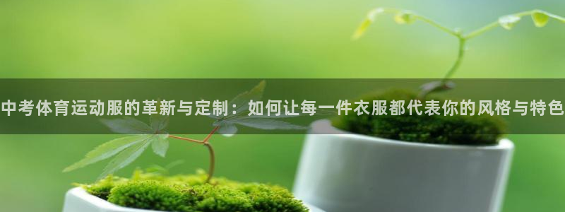 杏宇体育凯捷平台注册