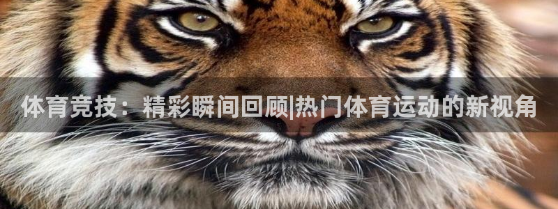 杏宇3平台登录注册