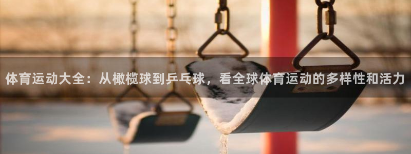 汾阳市杏宇酒业有限公司
