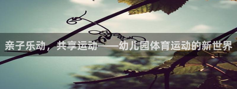 杏宇2平台