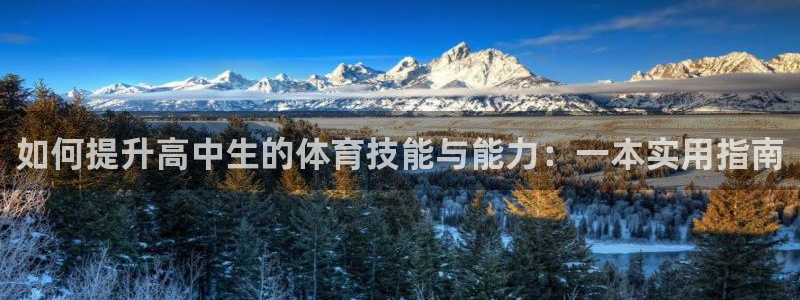 www.杏宇体育.com