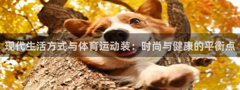 杏宇平台开户链接