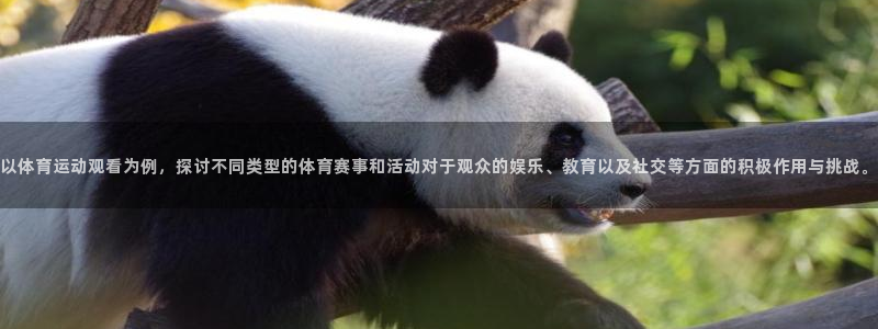 杏宇体育官网登录