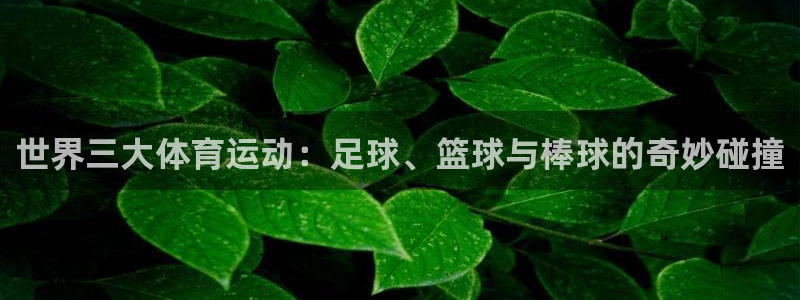 杏宇体育网页版入口