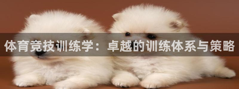 杏宇体育凯捷平台注册