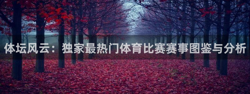 杏宇招商