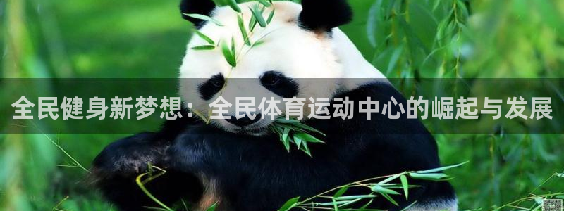 杏宇体育3在线注册