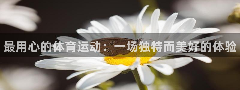 杏宇体育凯捷平台招商