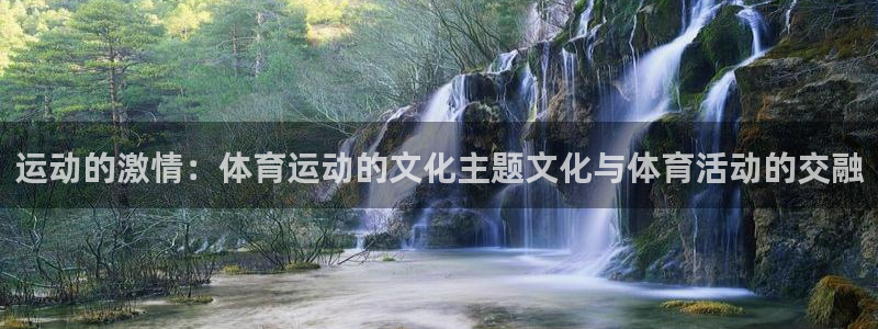 杏宇平台登录官网