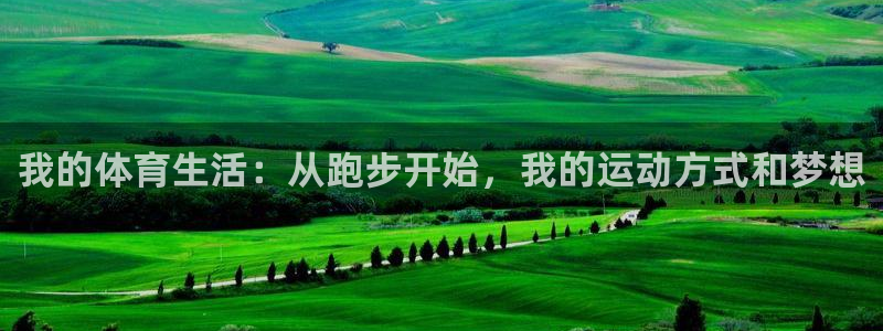 杏宇4官网