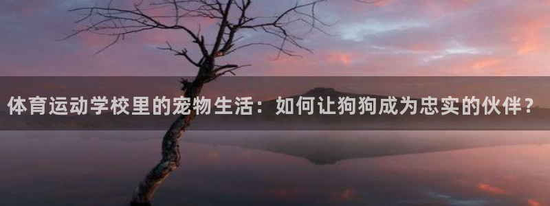 杏宇体育合法嘛
