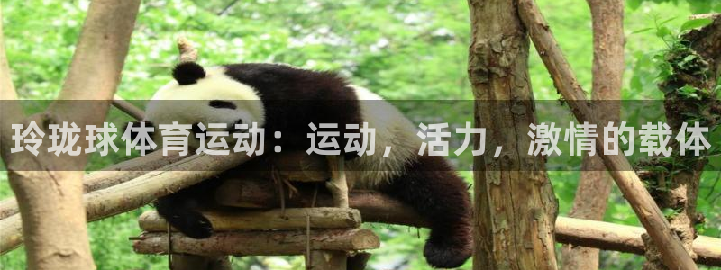 杏宇4官网