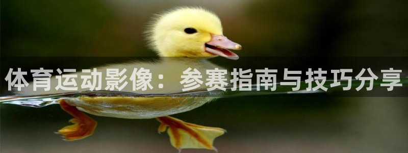 杏宇vk
