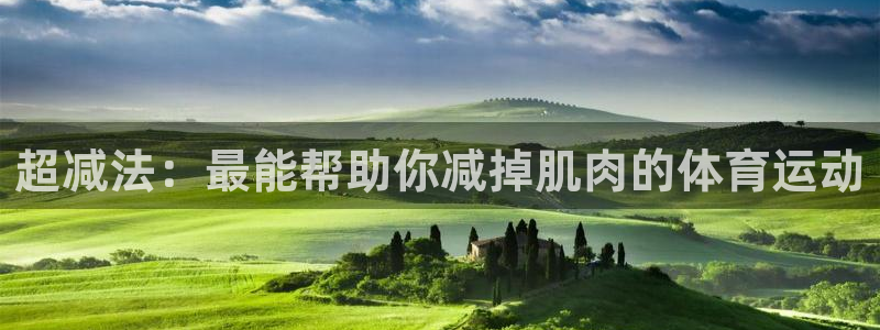 杏宇体育平台总代理