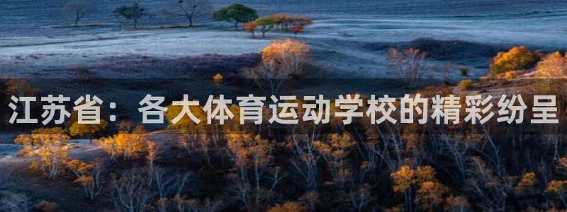杏宇平台登录官网