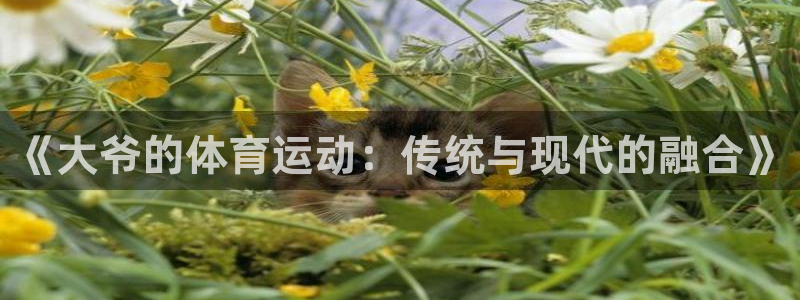 杏宇体育老板是谁