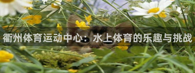 杏宇2体育
