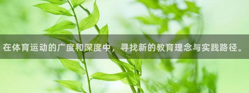 杏宇包怎么样