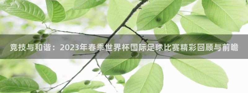 杏宇官网入口