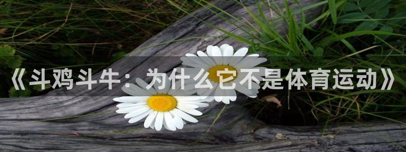 杏宇体育注册登录入口