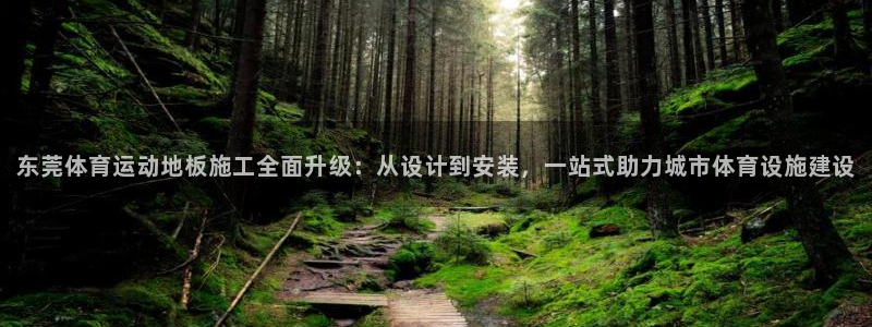 杏宇平台登录测速