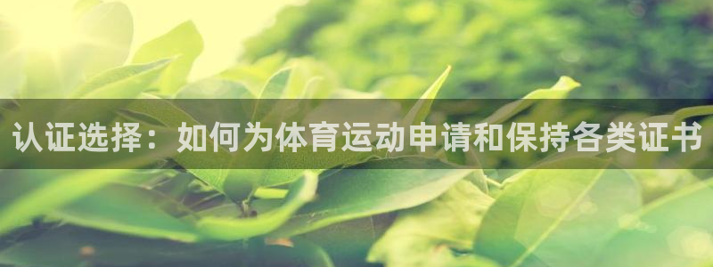 杏宇官网注册