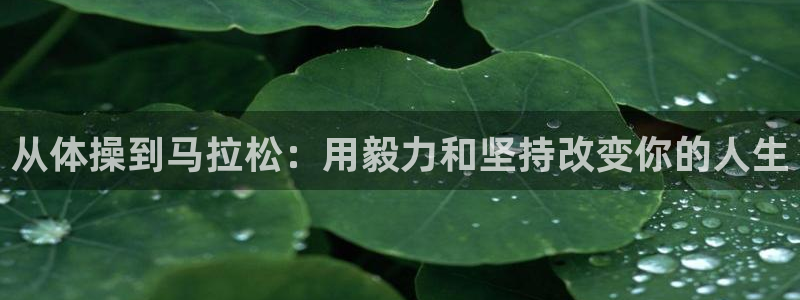 杏宇2登录入口