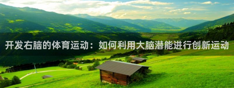 杏宇体育游戏
