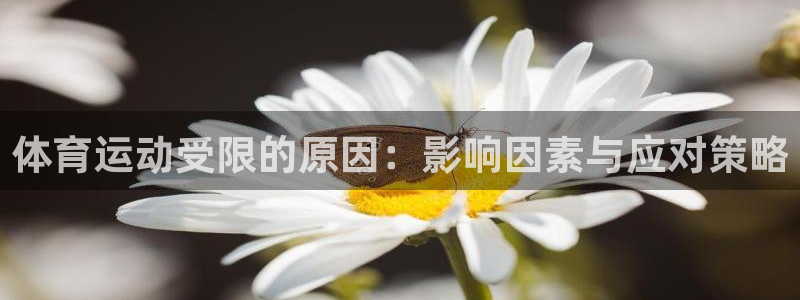 山西杏宇酒业有限公司
